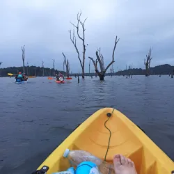 Petit Saut Dam - St-jean