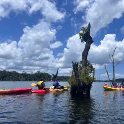 Petit Saut Dam - St-jean