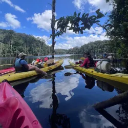 Petit Saut Dam - St-jean