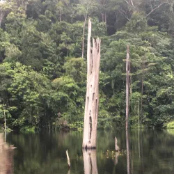 Petit Saut Dam - St-jean