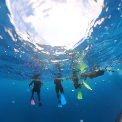 Snorkeling and Diving Spots - Amaru