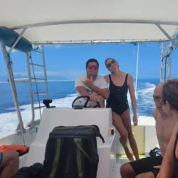 Whale Watching - Amaru