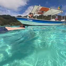 Whale Watching - Amaru