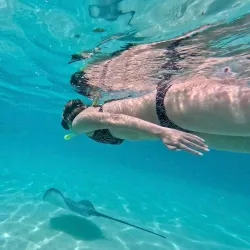 Whale Watching - Amaru