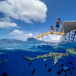 Bora Bora Lagoon - Bora Bora