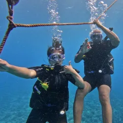 Bora Bora Turtle Centre - Bora Bora