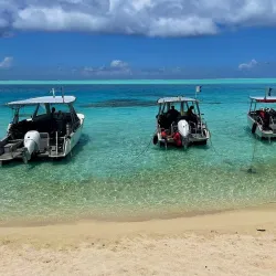 Bora Bora Turtle Centre - Bora Bora