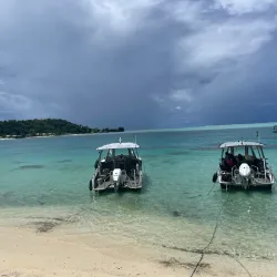 Bora Bora Turtle Centre - Bora Bora
