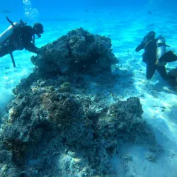 Bora Bora Turtle Centre - Bora Bora