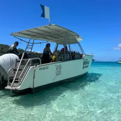 Bora Bora Turtle Centre - Bora Bora