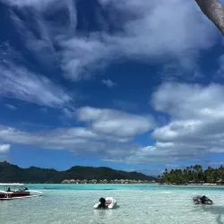 Coral Gardens - Bora Bora
