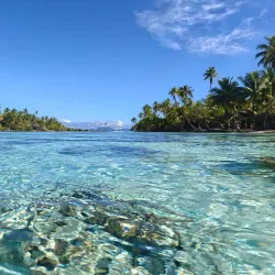 Coral Gardens - Bora Bora