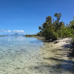 Coral Gardens - Bora Bora
