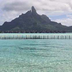 Lagoonarium - Bora Bora