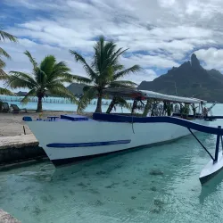 Lagoonarium - Bora Bora