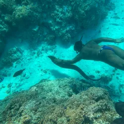 Lagoonarium - Bora Bora