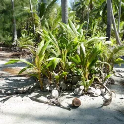 Lagoonarium - Bora Bora
