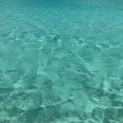 Motu Tapu - Bora Bora