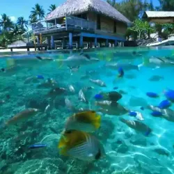 Mount Otemanu - Bora Bora