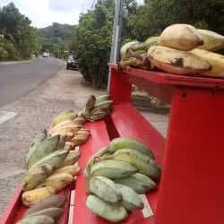 Vaitape Village - Bora Bora