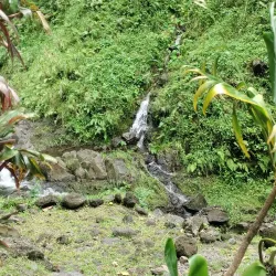 Faarumai Waterfalls - Mahina