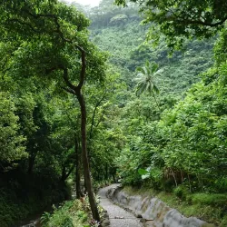 Faarumai Waterfalls - Mahina