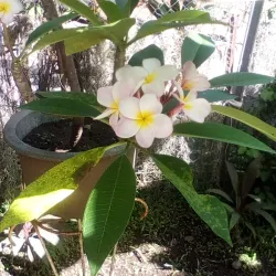 Mahina Coastal Trail - Mahina