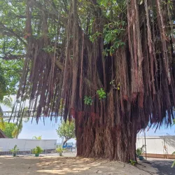 Mahina Cultural Center - Mahina