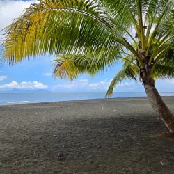 Point Venus - Mahina