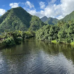Teahupoo Beach - Mahina