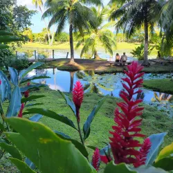 Vaipahi Gardens - Mahina