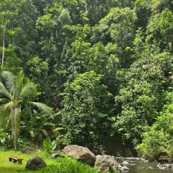 Fautaua Waterfall - Mataiea