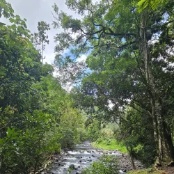 Fautaua Waterfall - Mataiea