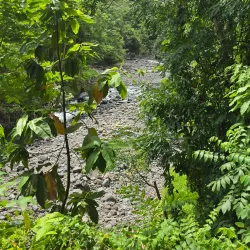 Fautaua Waterfall - Mataiea