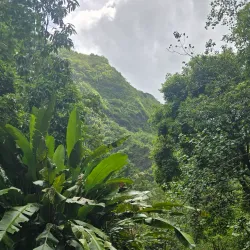 Fautaua Waterfall - Mataiea