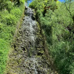 Fautaua Waterfall - Mataiea