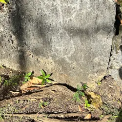 Marae Fare Opu - Mataiea
