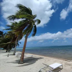 Marae Taputapuatea - Mataiea