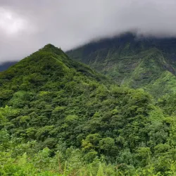 Papeno'o Valley - Mataiea