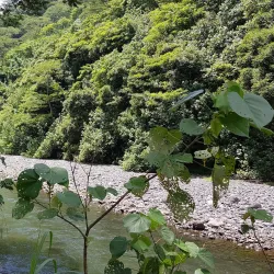 Papeno'o Valley - Mataiea