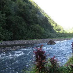 Papeno'o Valley - Mataiea