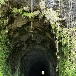 Papeno'o Valley - Mataiea