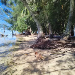 Punaruu River - Mataiea