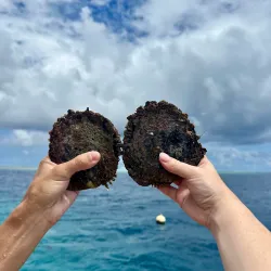 Tahiti Iti Peninsula - Mataiea