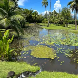 Vaipahi Gardens - Mataiea