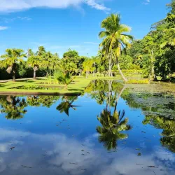 Vaipahi Gardens - Mataiea