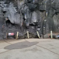 Arahoho Blowhole - Papeari