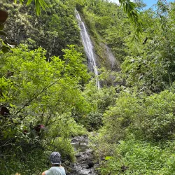 Coastal Hiking Trails - Papeari