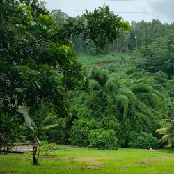 Coastal Hiking Trails - Papeari