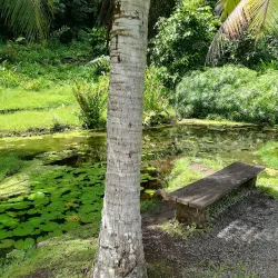 Papeari Bay - Papeari